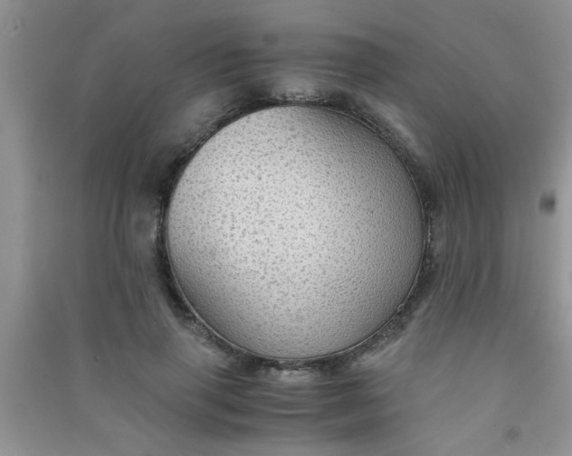 X0000090990645200708161918
