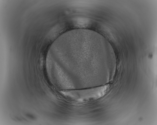 X0000090990647200708161918