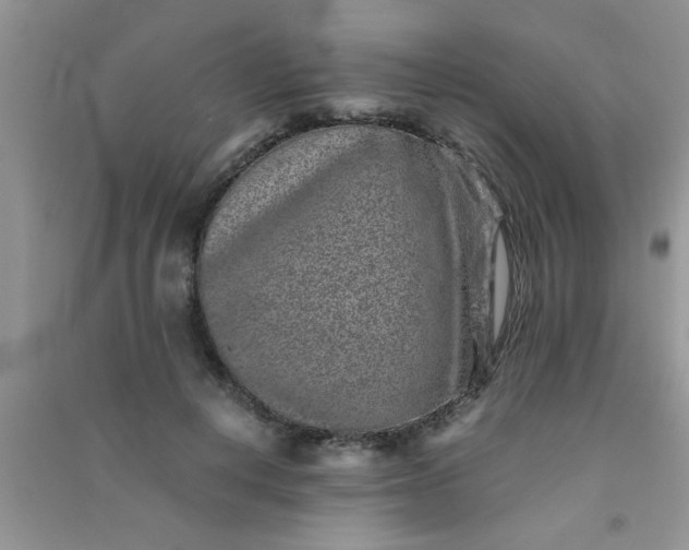 X0000090990648200708161918