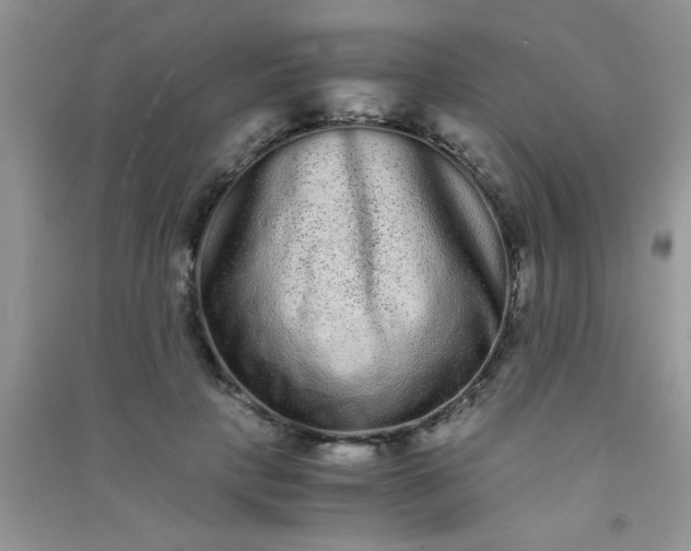 X0000090990649200708161918