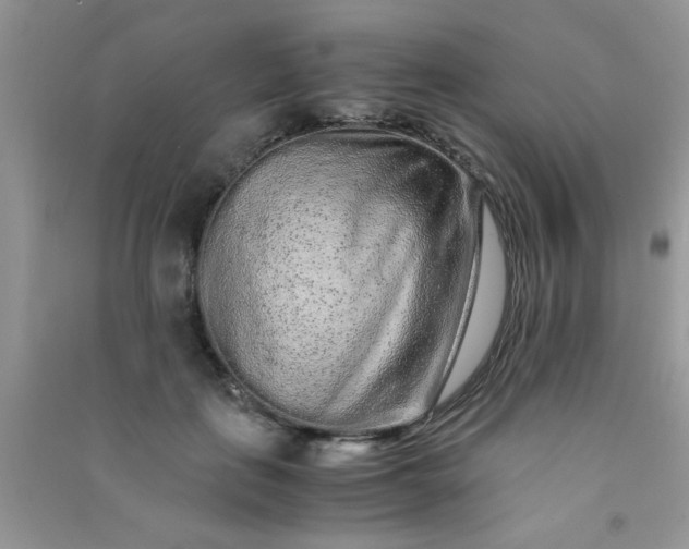 X0000090990651200708161918