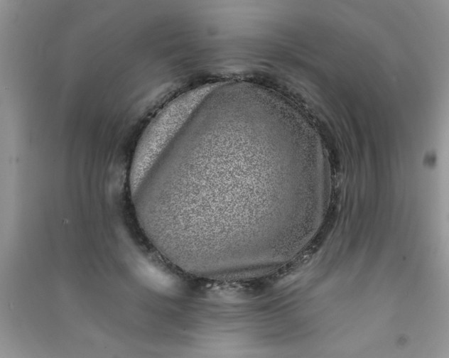 X0000090990652200708161918