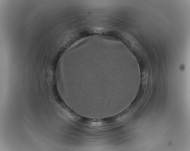 X0000090990653200708161918