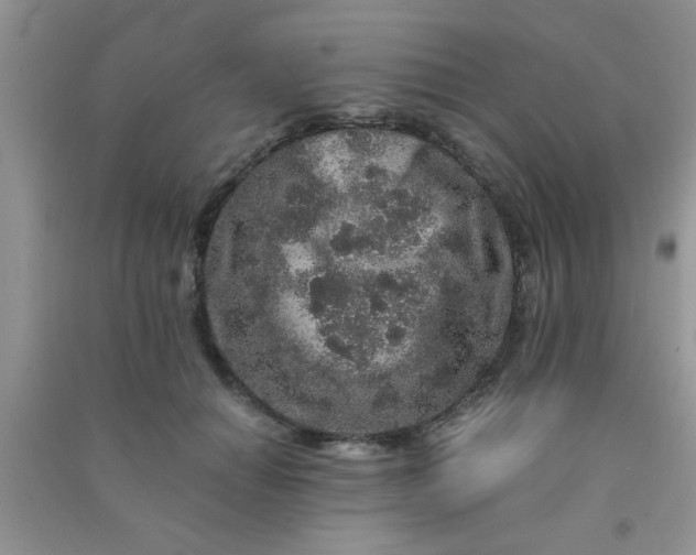 X0000090990654200708161918