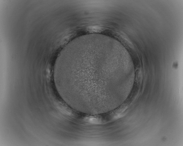 X0000090990655200708161918