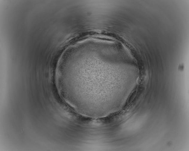 X0000090990656200708161918