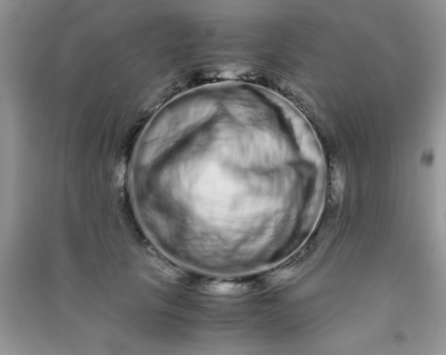 X0000090990657200708161918