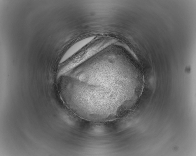 X0000090990658200708161918