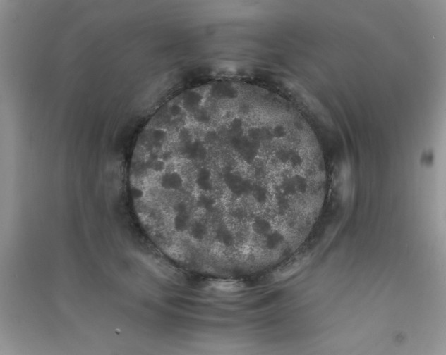 X0000090990659200708161918