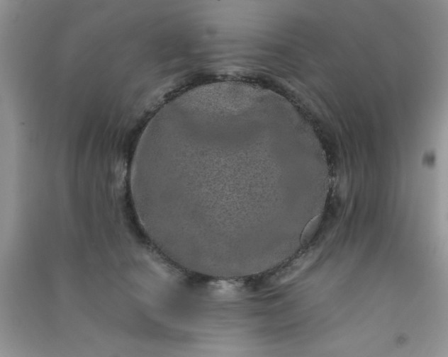 X0000090990660200708161918