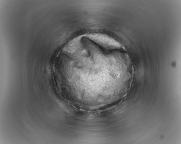 X0000090990662200708161918