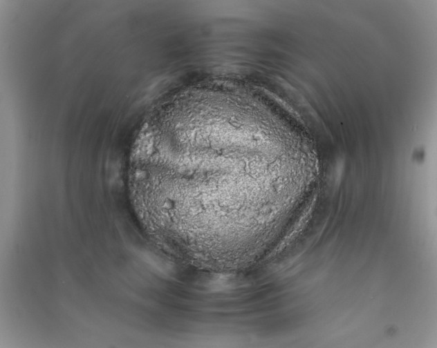 X0000090990663200708161918