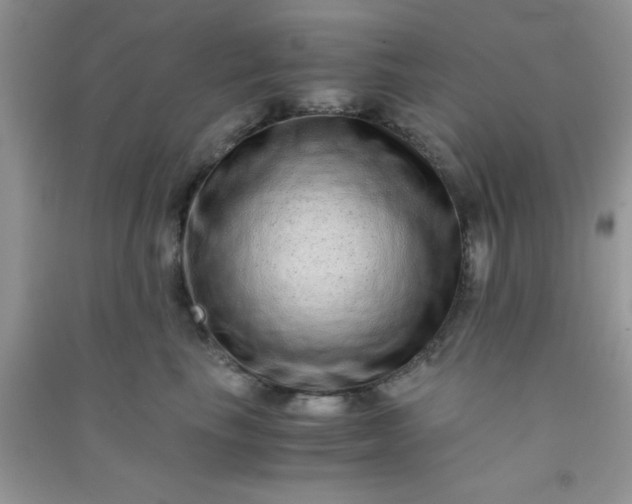 X0000090990665200708161918