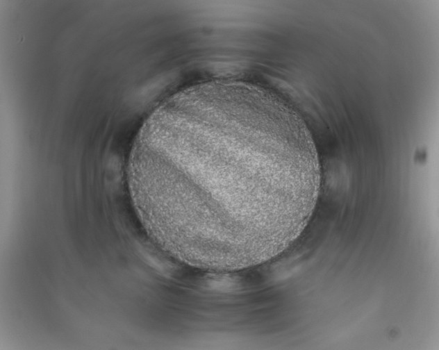 X0000090990667200708161918
