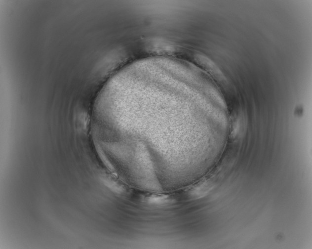 X0000090990669200708161918