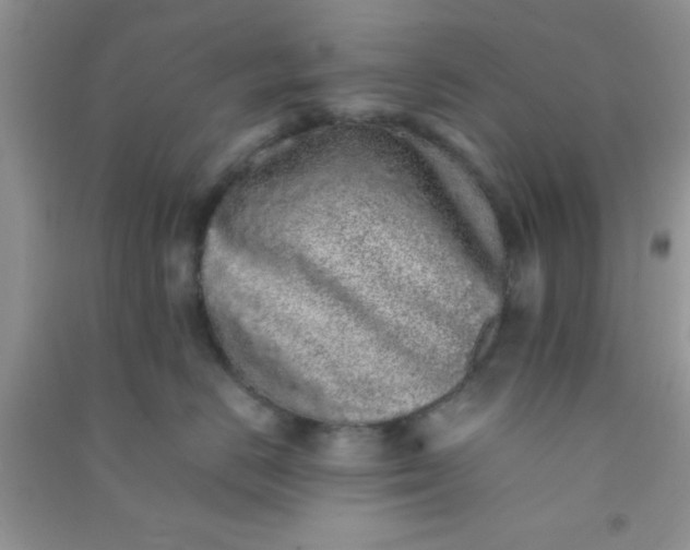 X0000090990670200708161918