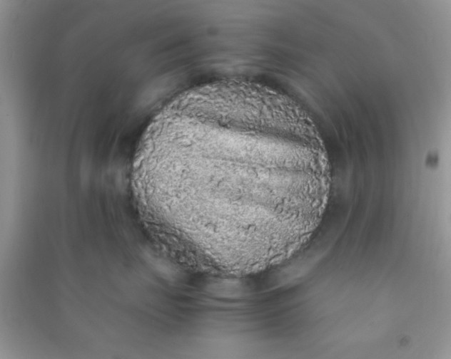 X0000090990671200708161918