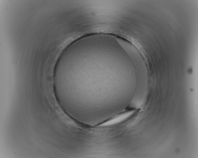 X0000090990673200708161917