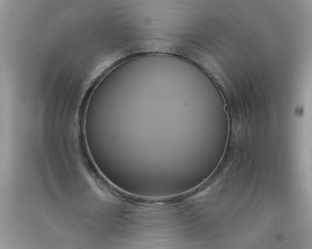 X0000090990674200708161917