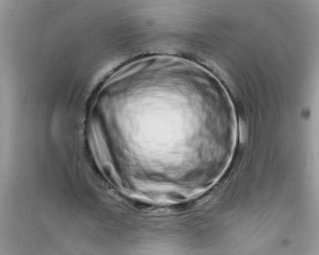 X0000090990675200708161917