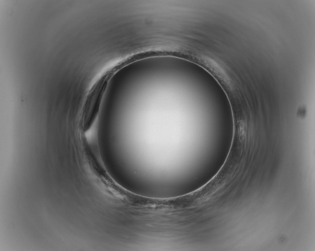 X0000090990676200708161917