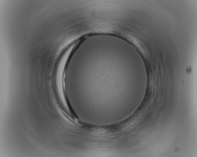 X0000090990677200708161917