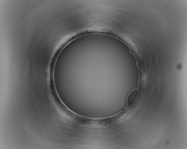 X0000090990678200708161917