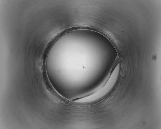 X0000090990680200708161917