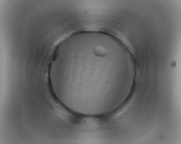 X0000090990681200708161917