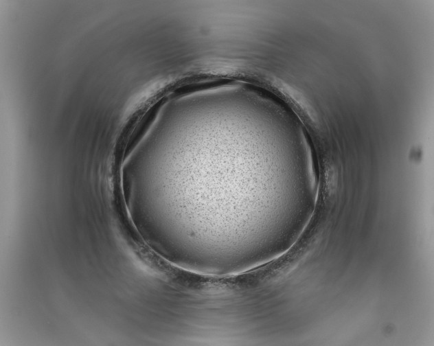 X0000090990682200708161917