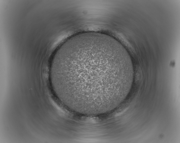 X0000090990683200708161917