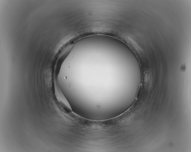 X0000090990684200708161917