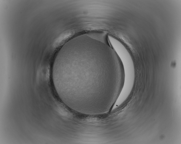 X0000090990685200708161917