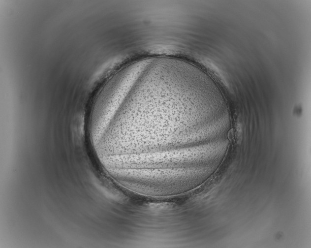 X0000090990686200708161917