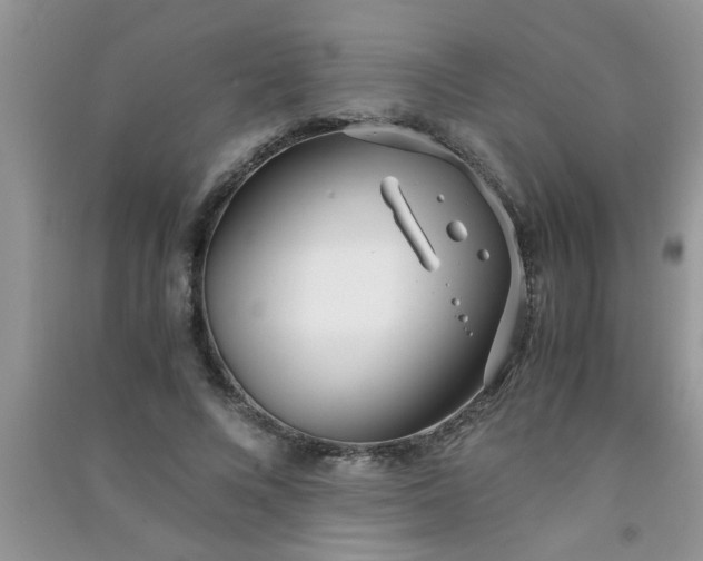 X0000090990688200708161917