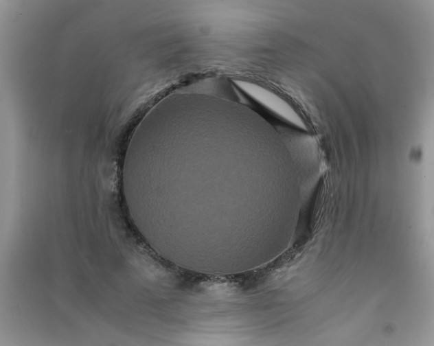 X0000090990689200708161917