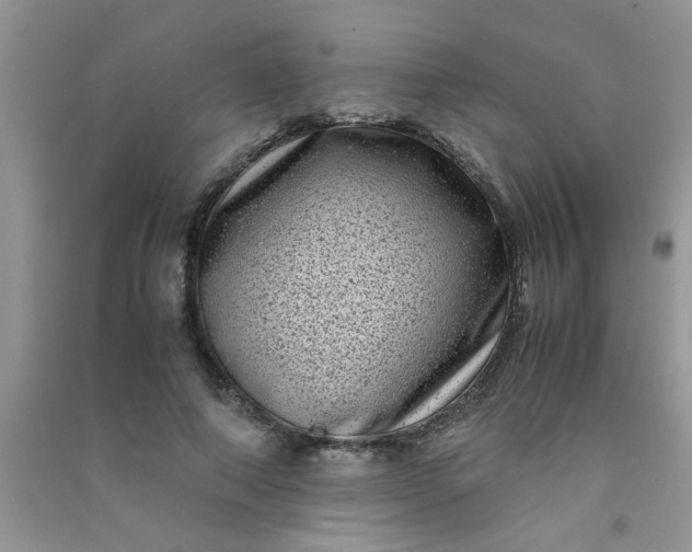 X0000090990690200708161917