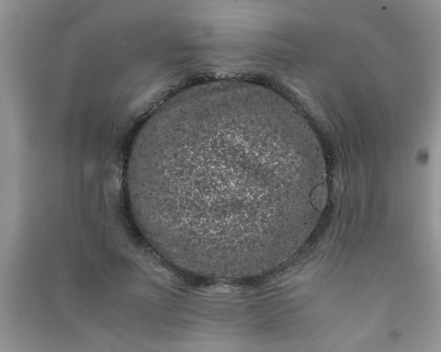 X0000090990691200708161917
