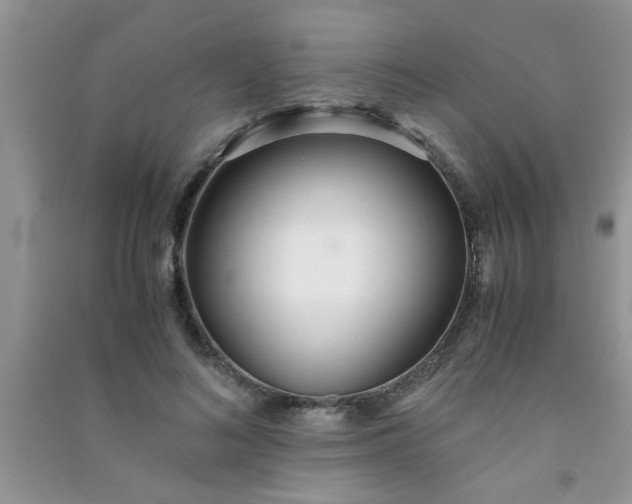 X0000090990692200708161917