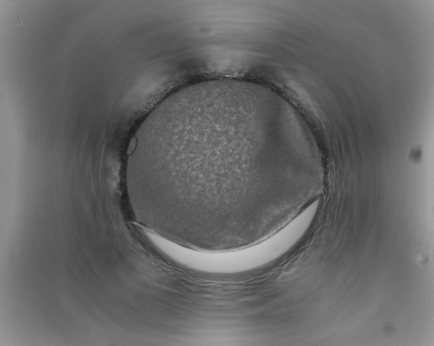X0000090990693200708161917
