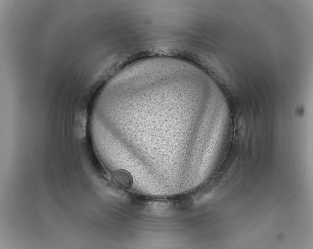 X0000090990694200708161917