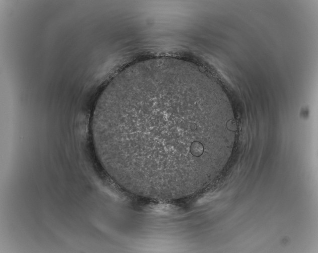 X0000090990695200708161917