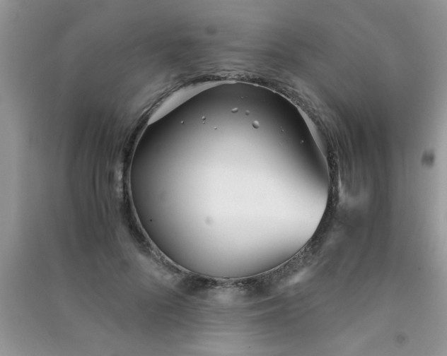 X0000090990696200708161917