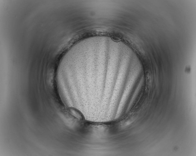 X0000090990698200708161917