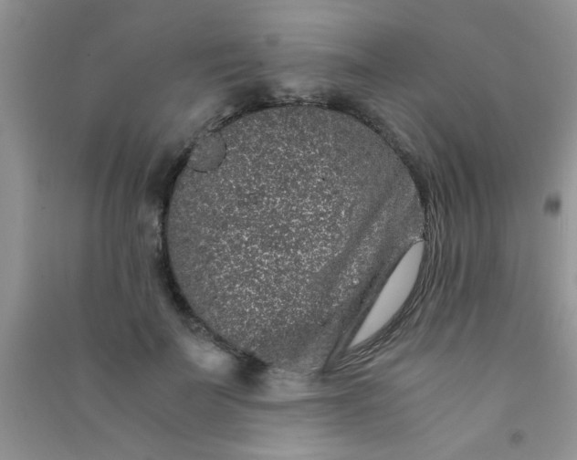 X0000090990699200708161917