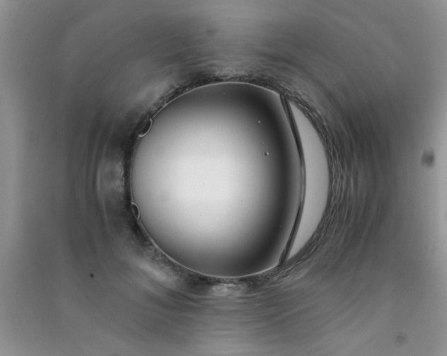X0000090990700200708161917