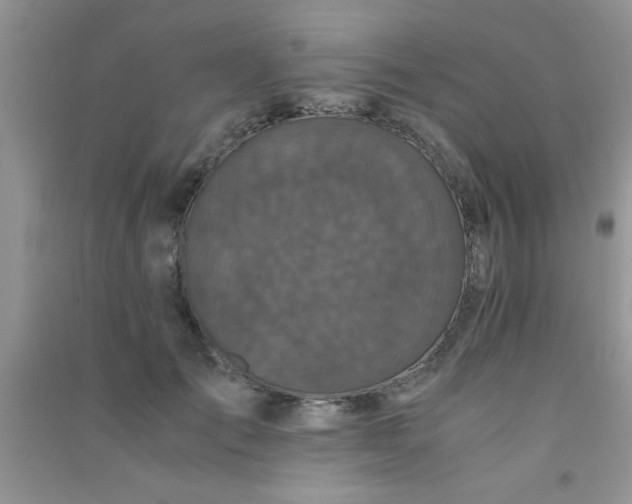 X0000090990701200708161917