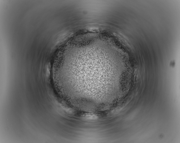 X0000090990702200708161917