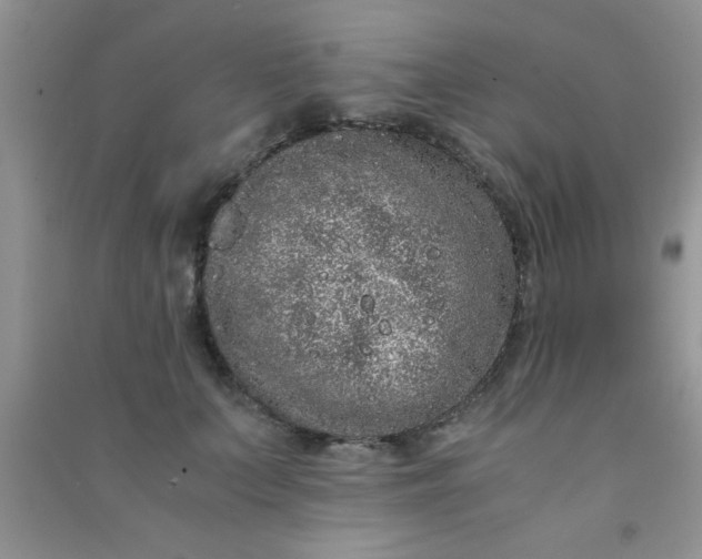 X0000090990703200708161917