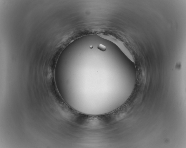 X0000090990704200708161917